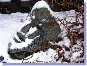 yard7.jpg