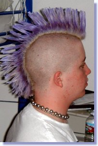 adam05.jpg