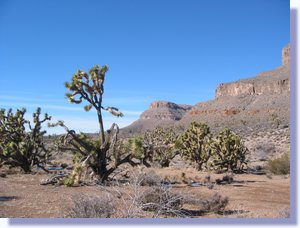 IMG_0412.JPG