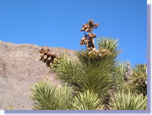 IMG_0418.JPG