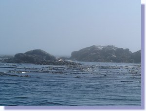 DSCF0061.JPG