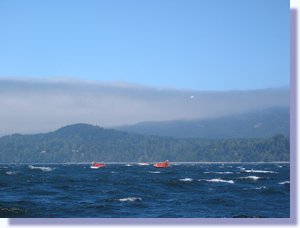 IMG_0347.JPG